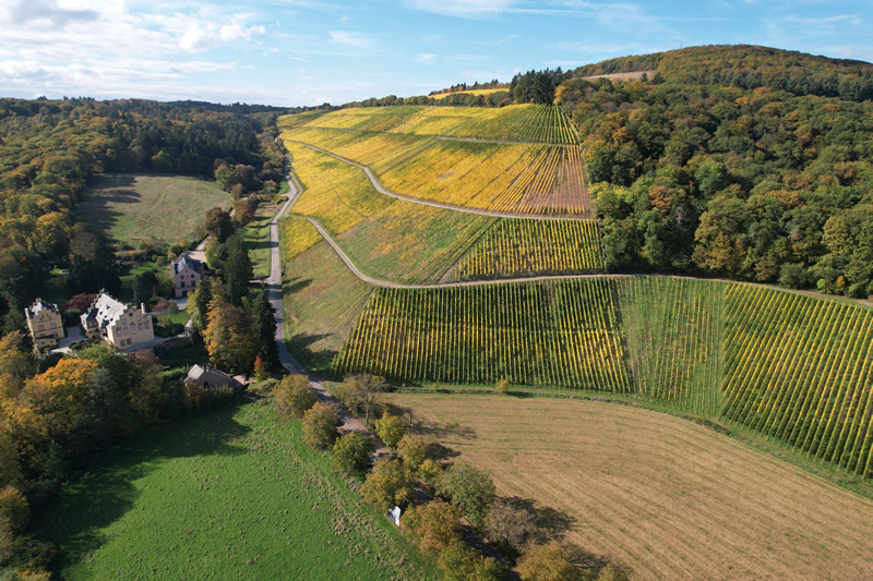 Startbild / Intro image